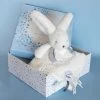 Coffret Doudou Plat Lapin Bleu - Happy Glossy - 25 Cm