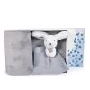 Coffret Cadeau Naissance Plaid Et Doudou Lapin Happy Glossy - 70 X 100 Cm